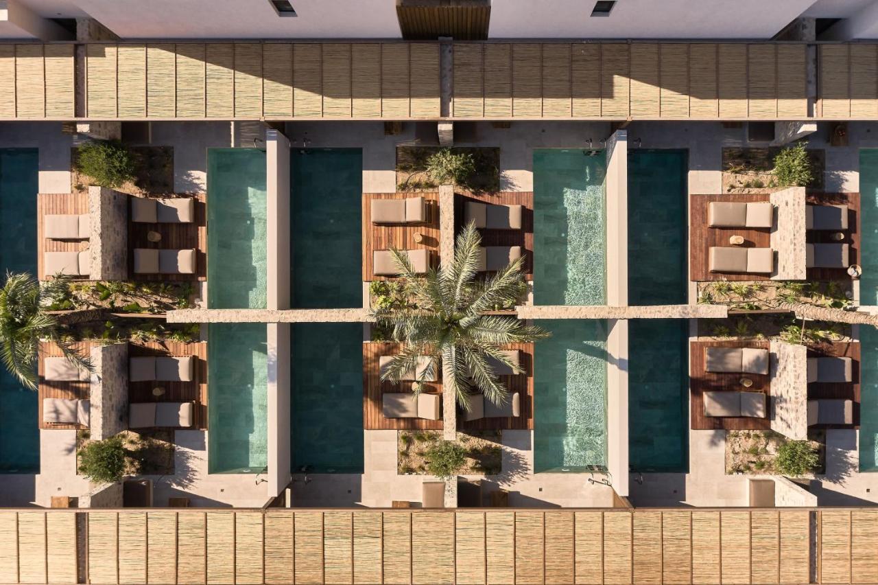 Theros All Suite Hotel - Adults Only بلدة كوس المظهر الخارجي الصورة